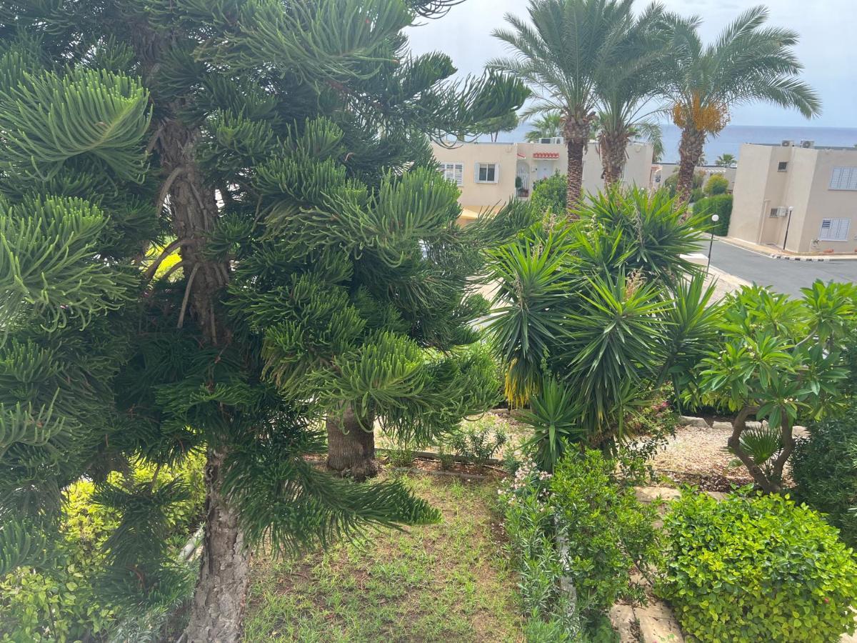 Modern Seaview Townhouse In Coral Bay (Adults Only) Apartment Peyia Exterior photo